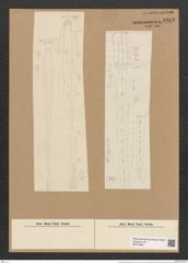 Climacosphenia elongata Bail. (de-Toni-Nr.: Genus 87, Species 2982) Zeichnungen Sammlung Grunow Nr. 6083 (NHMW-BOT-W0374602)